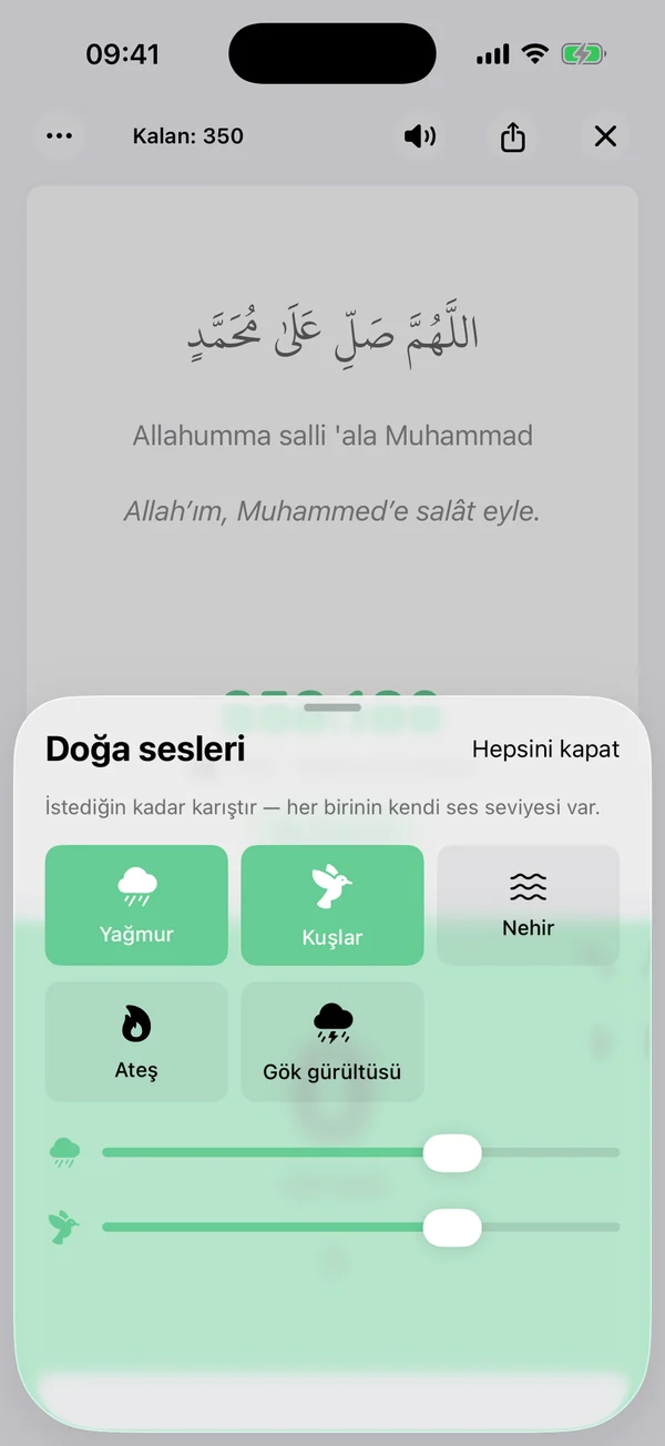 Huzurunu bul